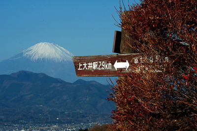 ooi5