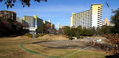wakaba3