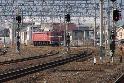 dc11