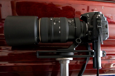 SPT-12