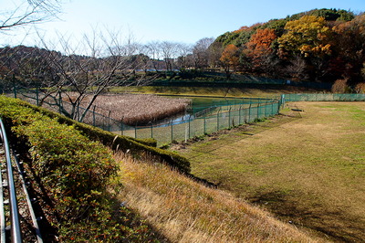 wakaba4