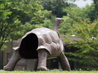 ZOO12