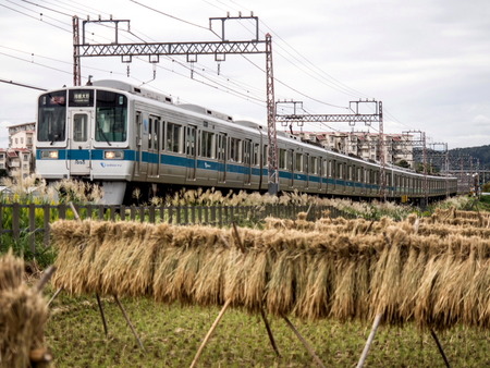 odakyu14