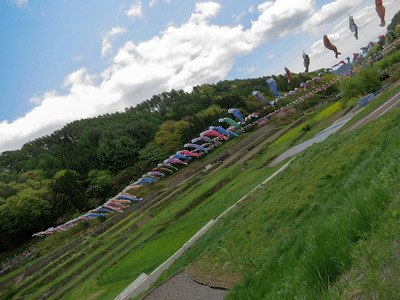 sight1