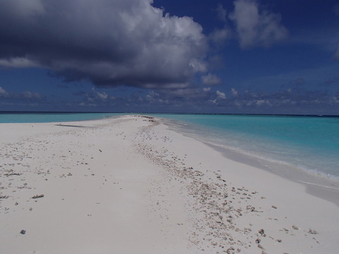 P5280293