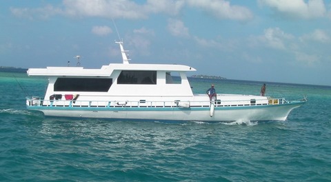 SANY0833