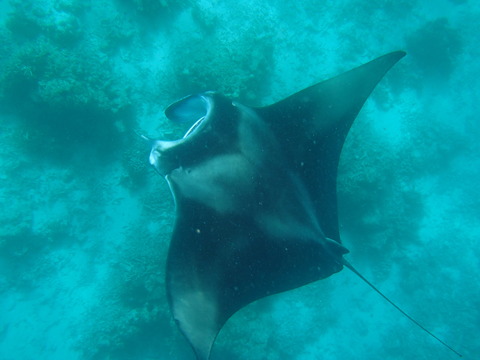 P5300503