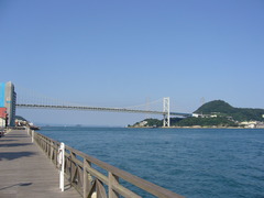 P1030572