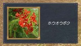 発見物001