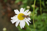 84df571e.jpg
