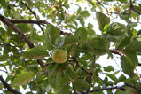 e2bb6269.jpg