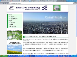 syu-turi-