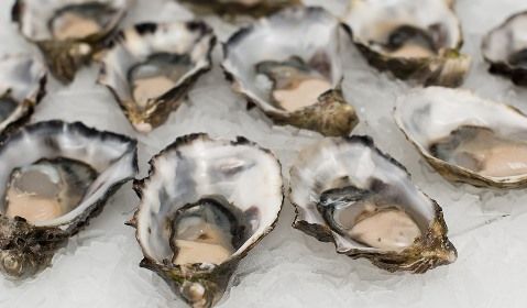 oysters-2220607_960_720