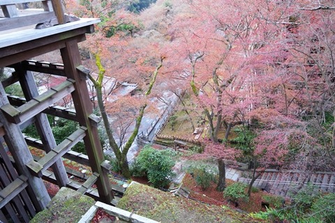 1IMGP0805
