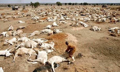 Climate-change-impact-on--006