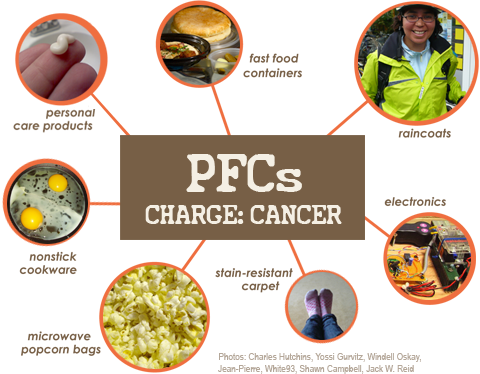 pfcs-infographic