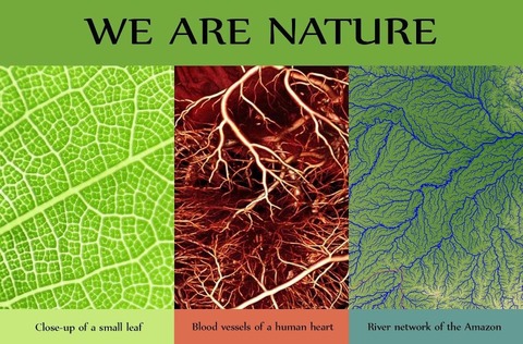 Oneness