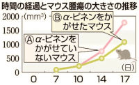 shinrin20120312