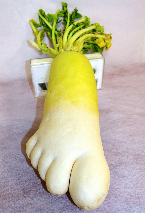 fruit-vegetables-11