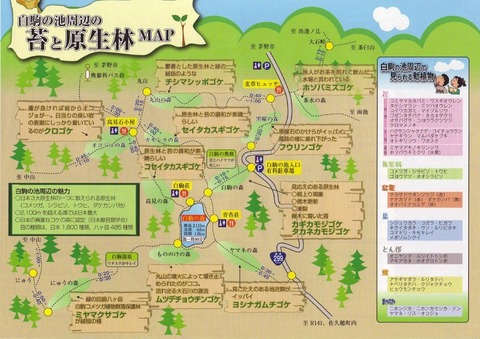 koke map
