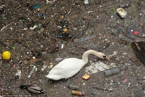 4934B88200000578-5392027-A_football_loose_Styrofoam_and_