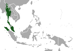 Lar_Gibbon_area