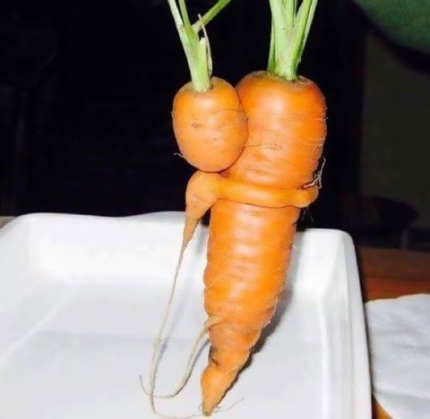 fruit-vegetables-15