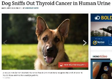 cancer34