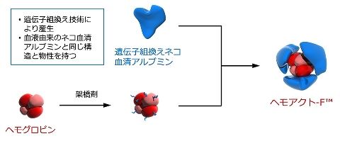 20180320_albumin_02