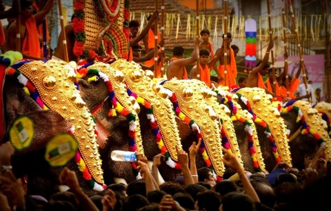 imgcaparisoned-elephants-during-thrissur-festival