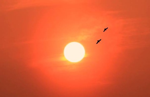 17310286_1176212blog