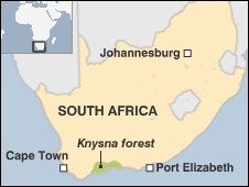 Image result for knysna forest on a map