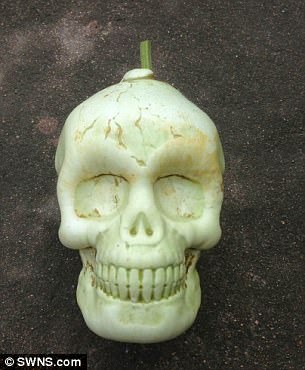 416F790C00000578-4607134-Customers_can_create_ghouli