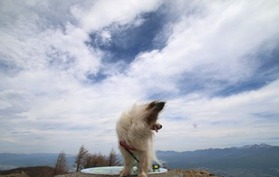 3IMG_0834