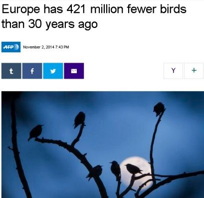 birdseuro5