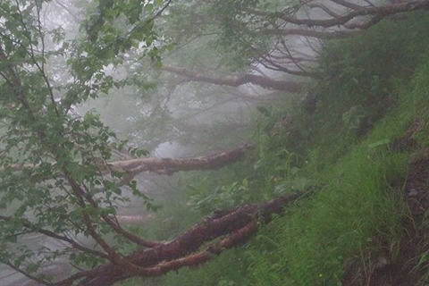 13blog