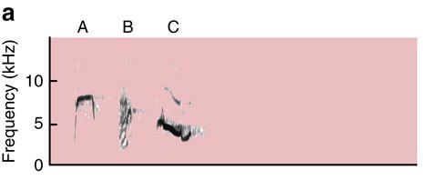 ncomms10986-f1a