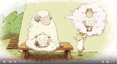 sheep20