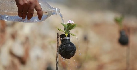 tear-gas-flower-pots-palestine-4