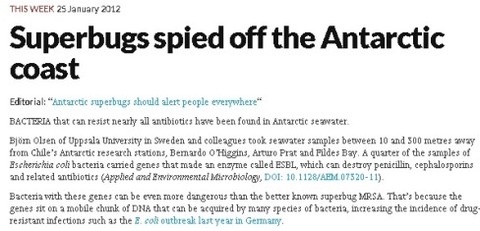 superbugs1