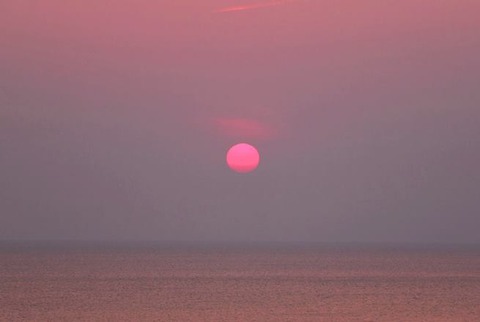 17358904_1175blog