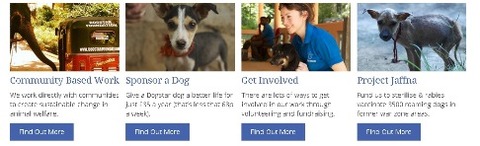projectdogstar1
