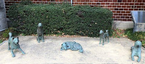 800px-中野お囲いの犬の像2