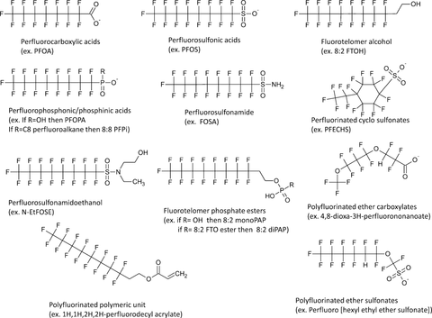 pfc-structures-es-and-t