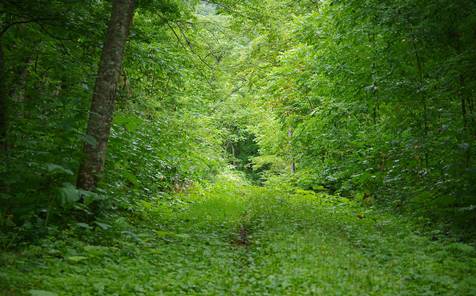 208195blog
