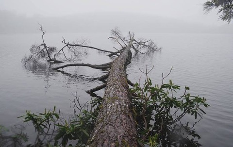 13403219_93199516blog
