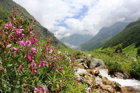 uttarakhand-tourism