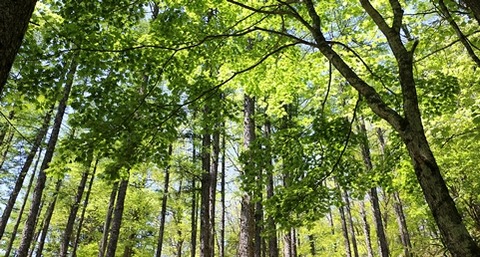 1IMG_9213