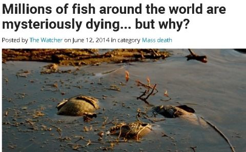 fishlill