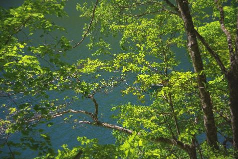 19059102_12511028blog
